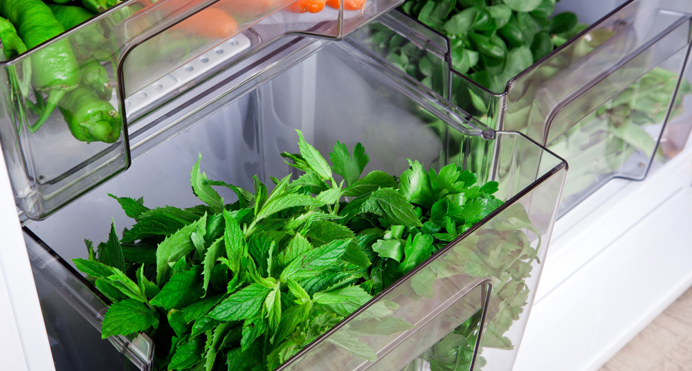 Как хранить зелень в холодильнике