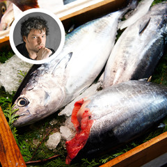 Статья - Голова и рыба