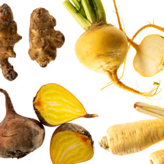 Статья - Козлобородник, турнепс, скорцонера и другие редкие корни