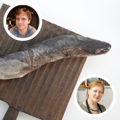 Статья - Налим