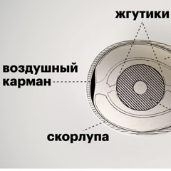 Статья - Шесть вопросов про яйца