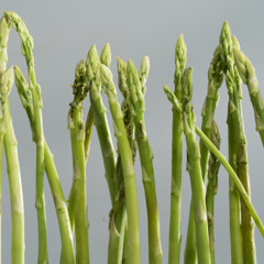 Статья - Спаржа