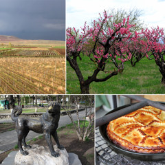 Статья - Зачем ехать в отпуск  в Армению 