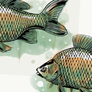 15 русских рыб