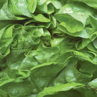 Алексей Зимин о том, как есть всю неделю одни огурцы