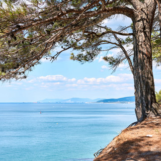 Где есть в Геленджике