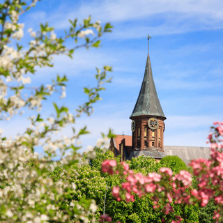 Где есть в Калининграде
