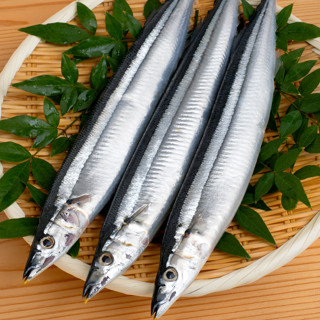 Как готовить консервированную сайру