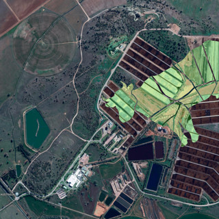 Как говядина выглядит из космоса