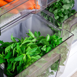 Как хранить зелень в холодильнике