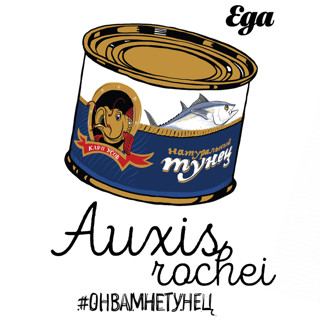 Как надеть «Еду»