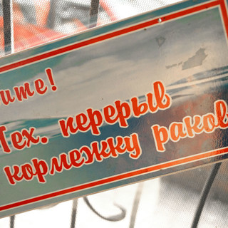 Как варить раков и откуда они берутся