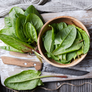 Как заготовить щавель на зиму