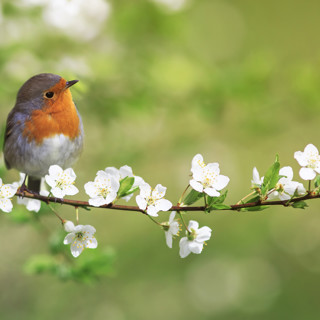 Какие продукты готовить в мае