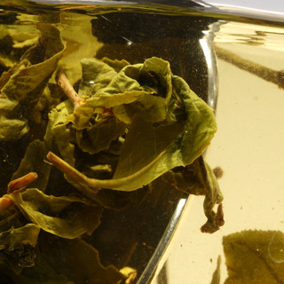 Каким бывает чай, как его хранить и заваривать