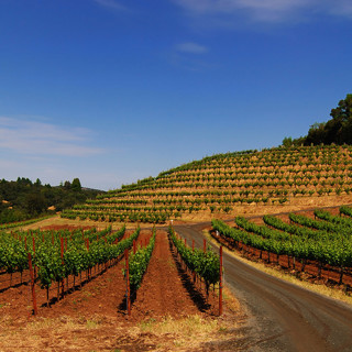 Конец насилия