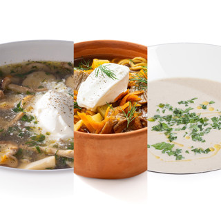 Лучшие рецепты грибных супов