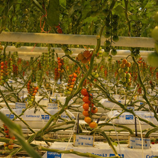 Модель для сборки