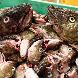 Мороз под кожу