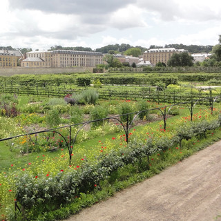 Огород солнца