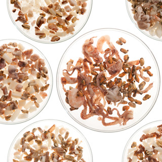 Ревизия замороженных морских коктейлей