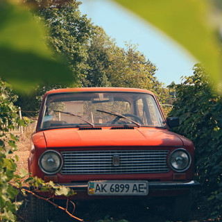 Все наше навсегда