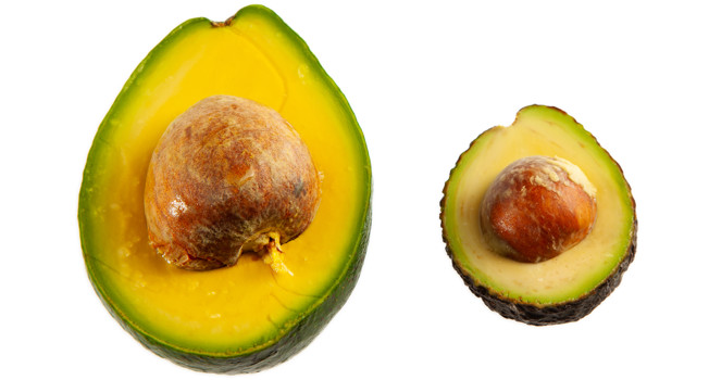 Авокадо: что из него можно сделать фото