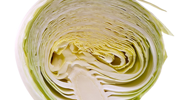 Белокочанная капуста фото