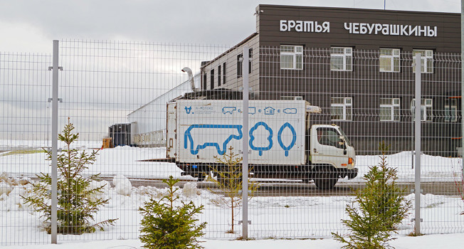 «Братья Чебурашкины» фото