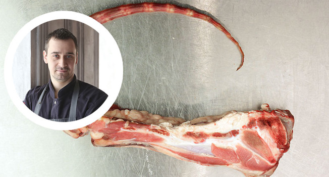 Бычий хвост фото