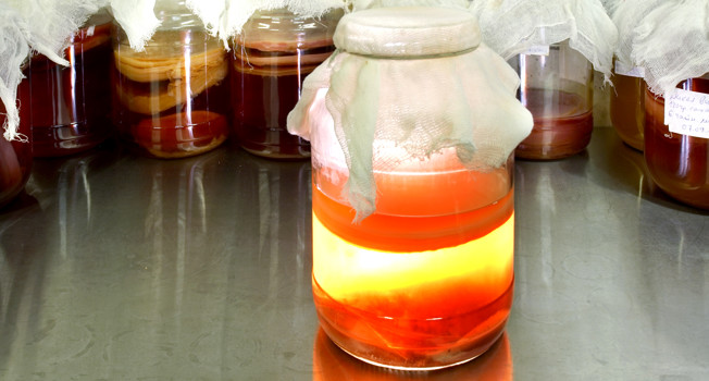 Чай, не гриб! фото