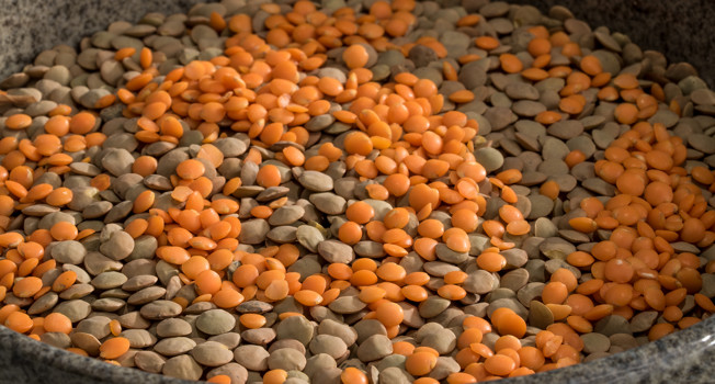 Чечевица фото