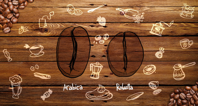 Чем арабика отличается от робусты? фото