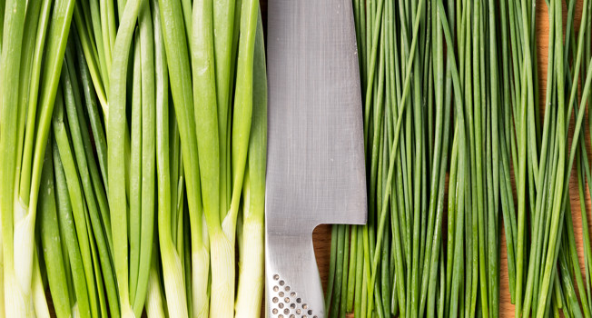 Чем шнитт-лук отличается от зеленого лука фото