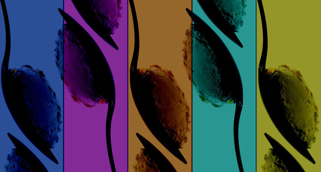 Чем сливочный сыр отличается от творожного фото