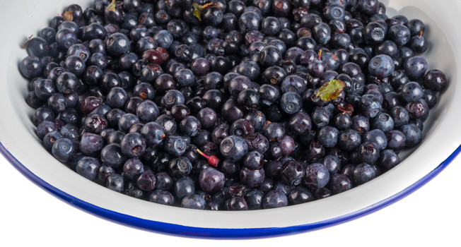 Что делать с черникой фото