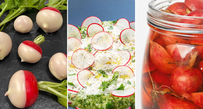 Что приготовить из редиски фото