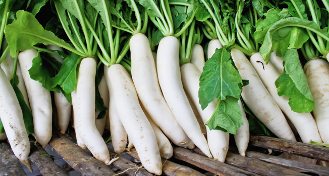 Дайкон: польза, вред и как готовить фото
