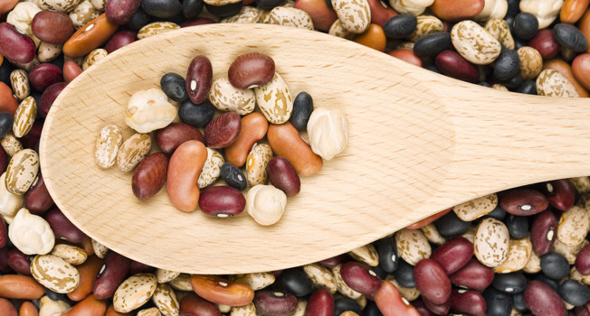 Фасоль: польза и вред для организма фото