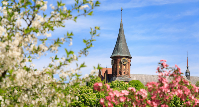 Где есть в Калининграде фото