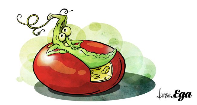 Гороховый сыр фото