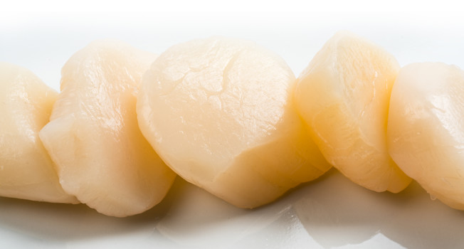 Гребешок фото