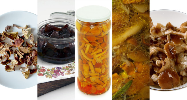 Грибы на зиму фото