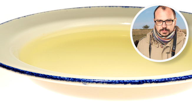 Хранитель древности фото