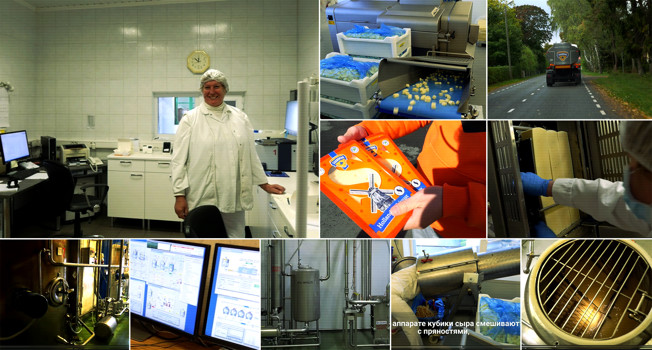 Как делают сыр на острове Сааремаа фото