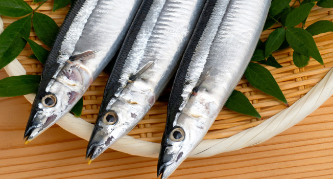 Как готовить консервированную сайру фото