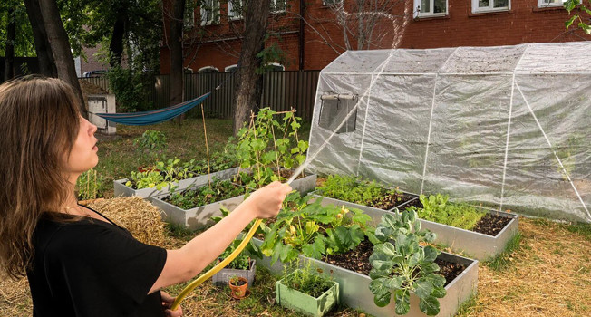 Как посадить огород в центре Москвы. Часть 7 фото