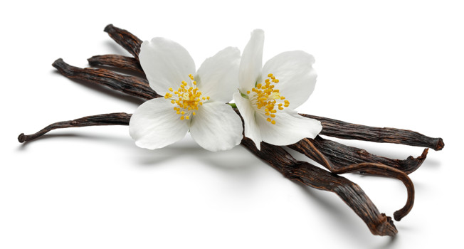 Как применять ваниль и ванилин и в чем разница фото