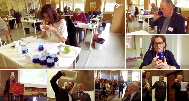 Как устроен конкурс оливкового масла фото