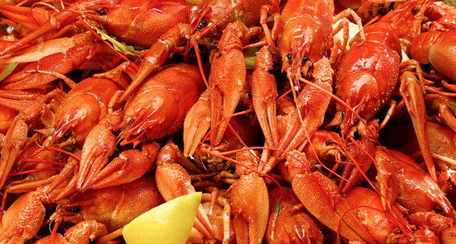 Как варить раков в домашних условиях фото